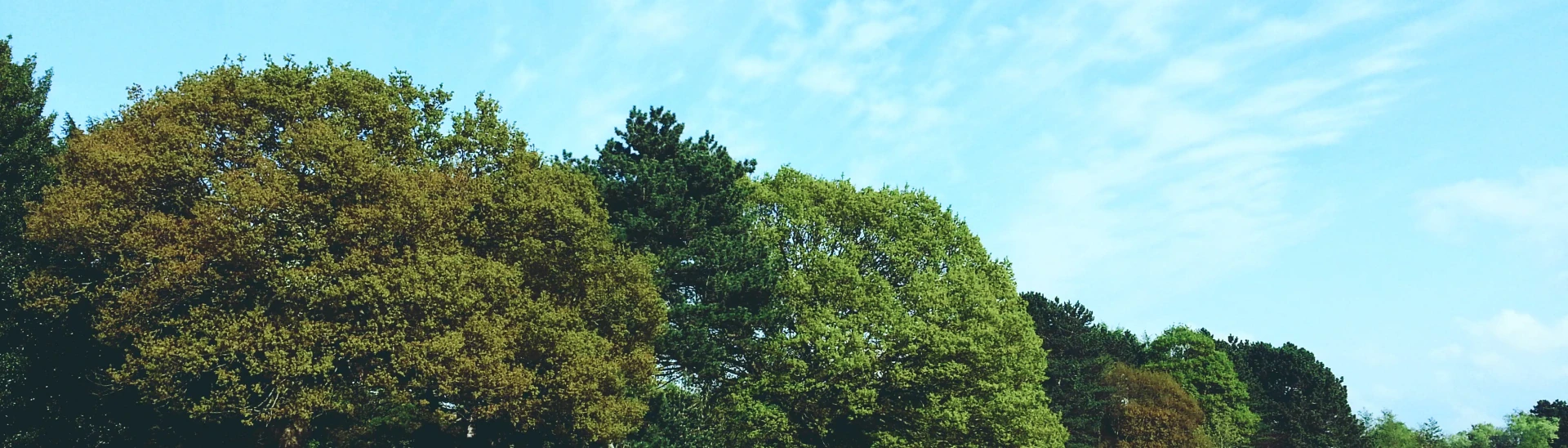 Greenhouse Gas Management