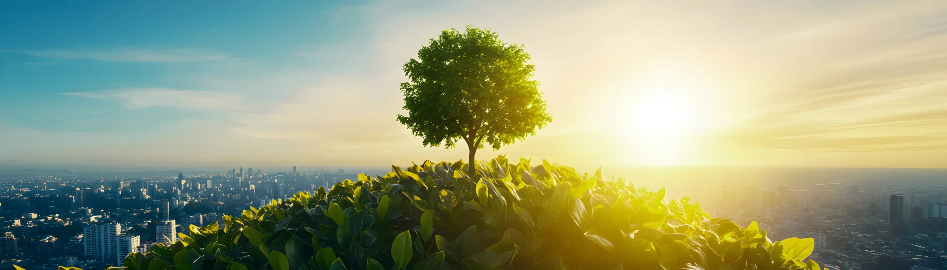 Sustainability Framework and Goals