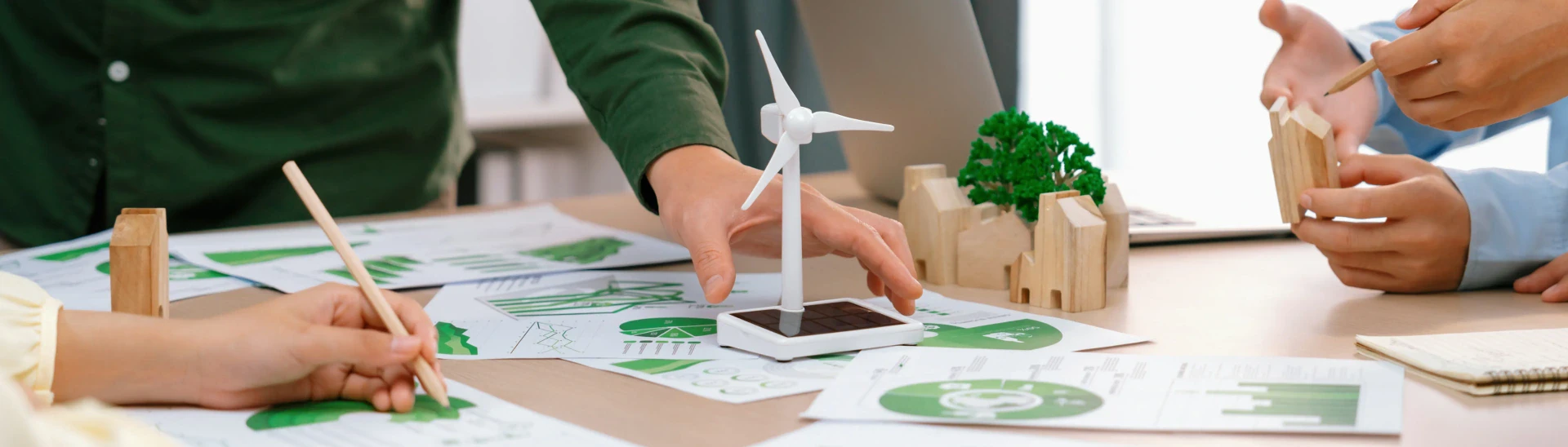 Sustainability Governance Structure