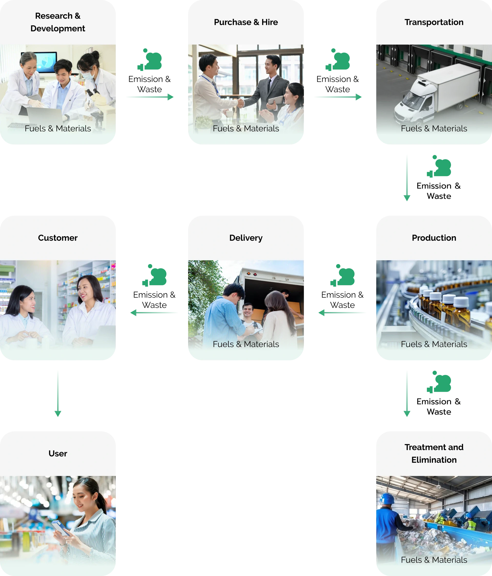 Life Cycle and Environmental Impact Causes