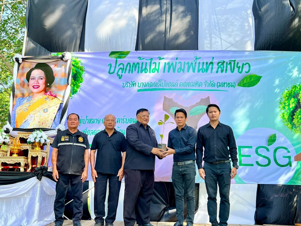 ปลูกต้นไม้